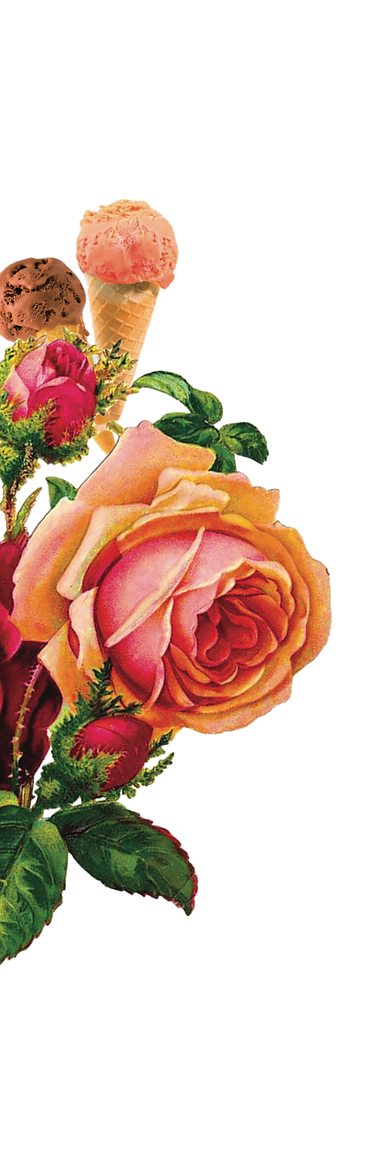 heavenly chocolates florals